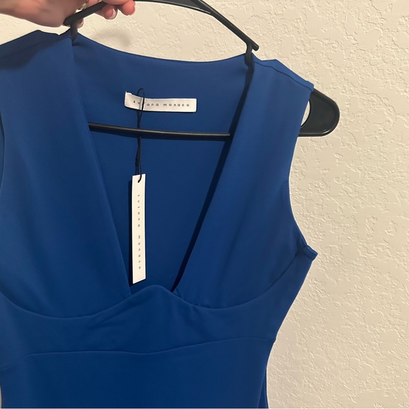 Revolve Susana Monaco Plunge Wire-Front Sleeveless mini Bodycon Dress - Picture 4 of 6